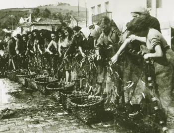 pesca tradicional familia ortiz conservas 2
