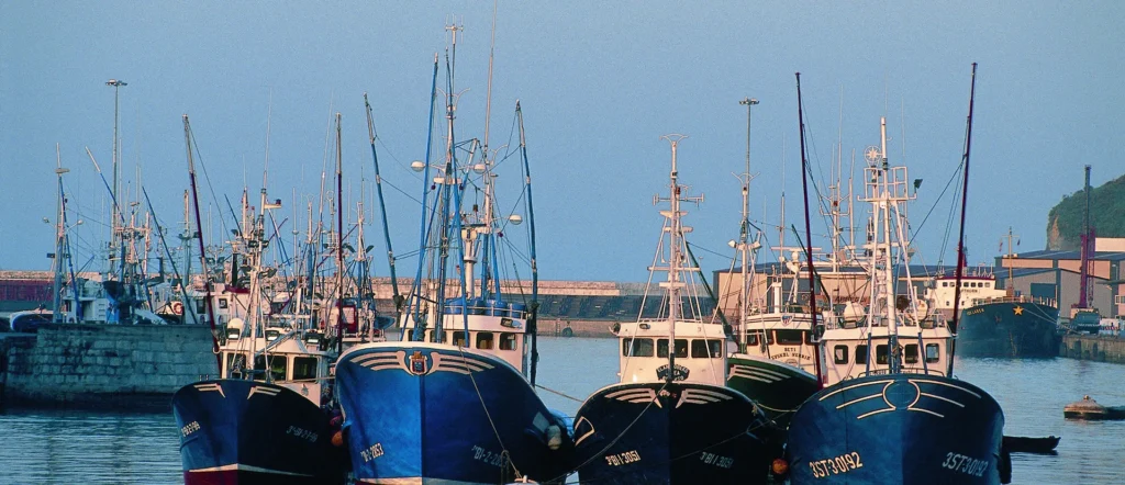 pesca-conservas-ortiz
