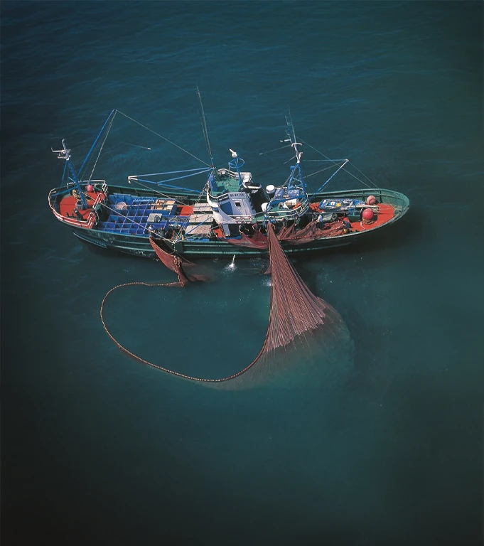 Pesca de cerco durante la costera de la sardina