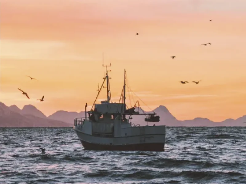 barco saliendo a faenar por la mañana