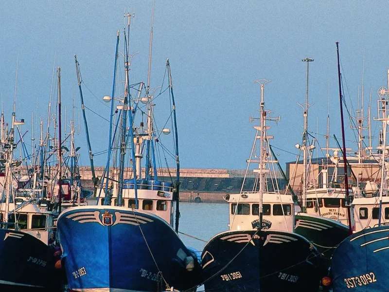 Barcos atuneros en puerto